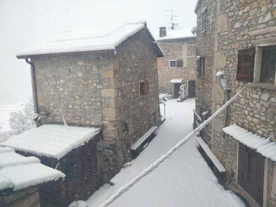 Casa Lia Daire Cascine Dış mekan fotoğraf