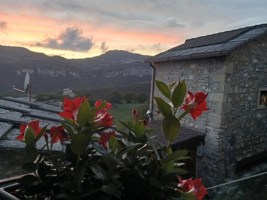 Casa Lia Daire Cascine Dış mekan fotoğraf